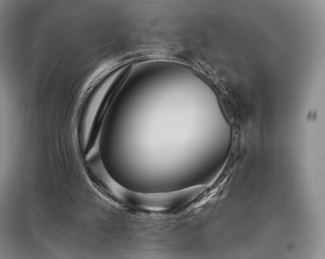 X0000097910197200803141426