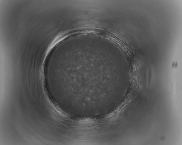 X0000097910198200803141426