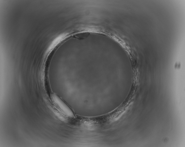 X0000097910199200803141426