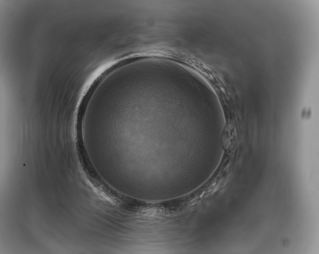 X0000097910200200803141426