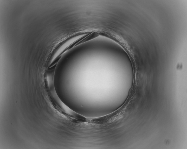 X0000097910201200803141426