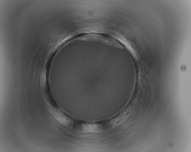 X0000097910202200803141426