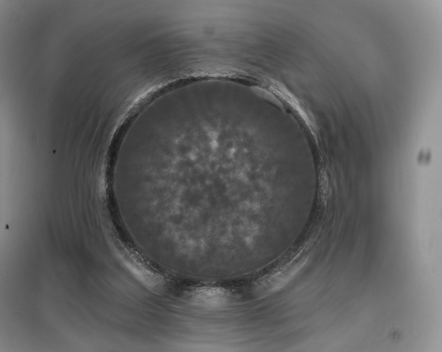 X0000097910203200803141426