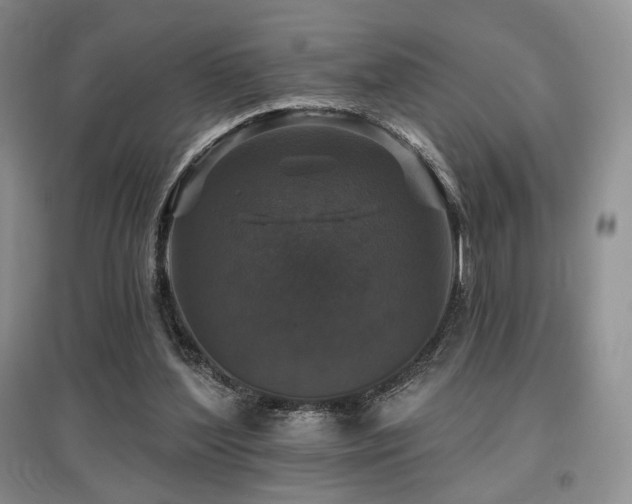 X0000097910204200803141426