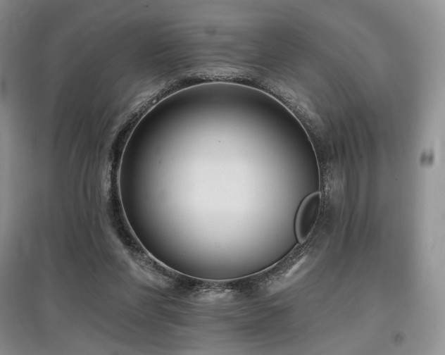 X0000097910206200803141426