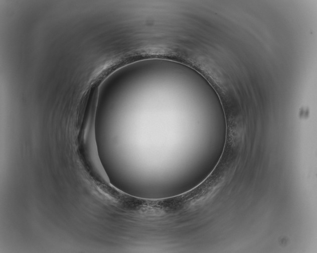 X0000097910207200803141426