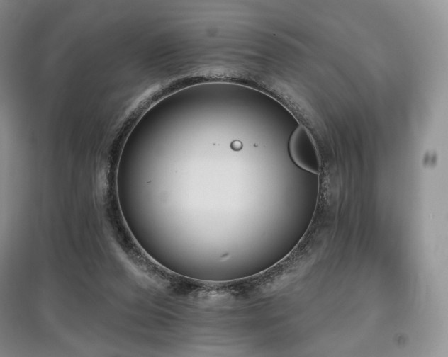 X0000097910208200803141426