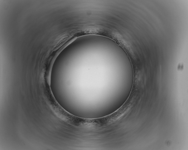 X0000097910209200803141426