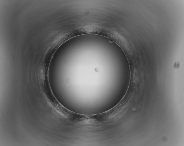 X0000097910210200803141426