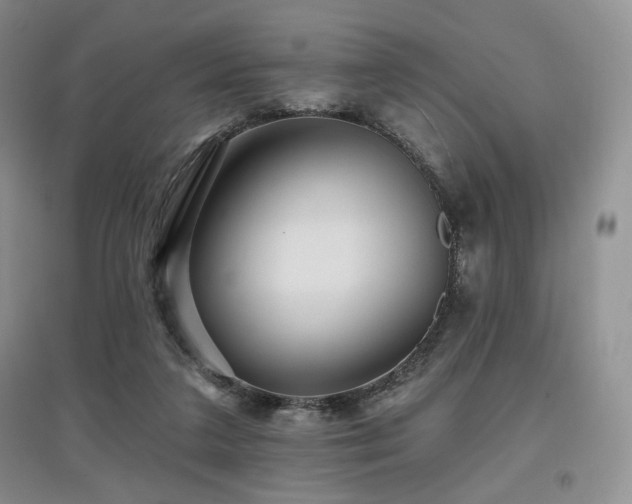 X0000097910211200803141426