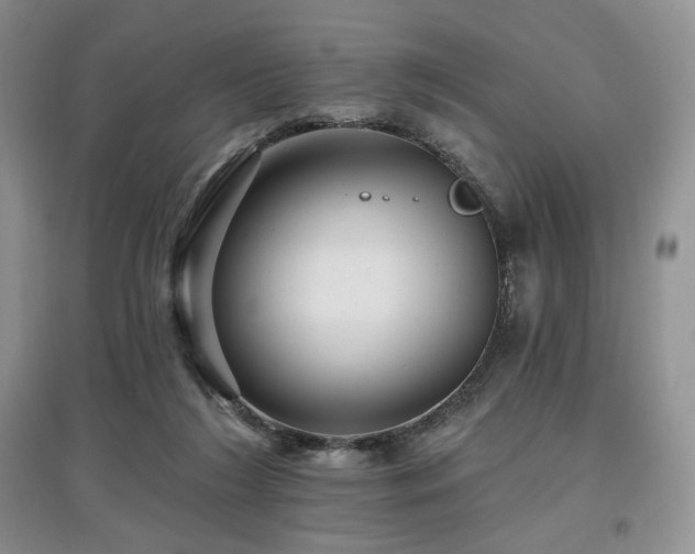 X0000097910212200803141426