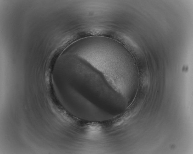 X0000097910214200803141426