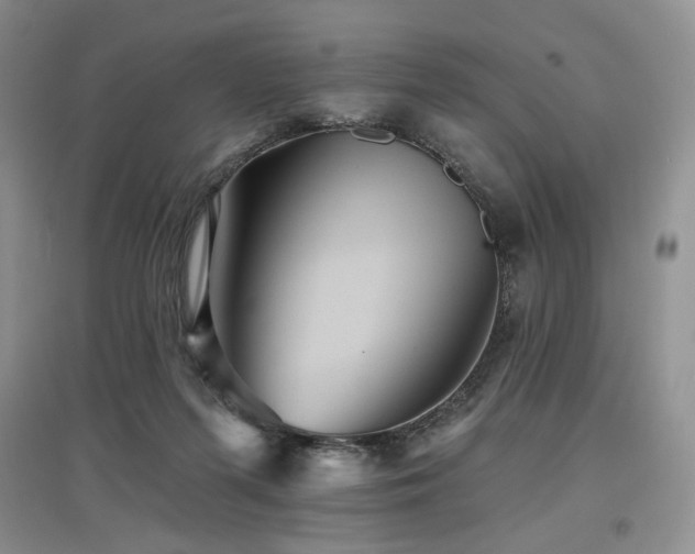 X0000097910215200803141426