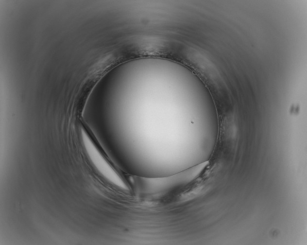 X0000097910217200803141426