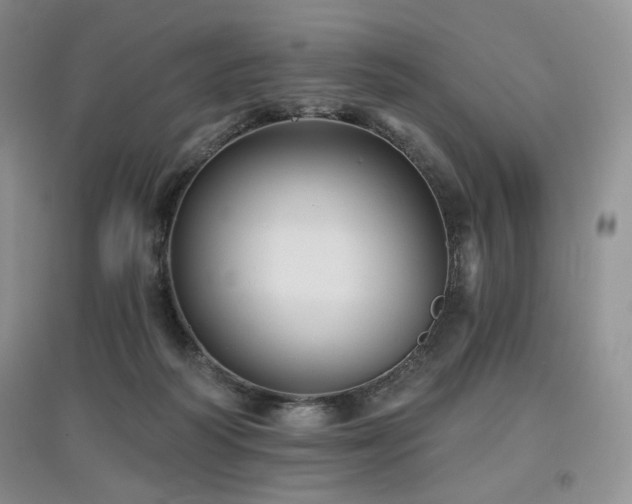 X0000097910218200803141425