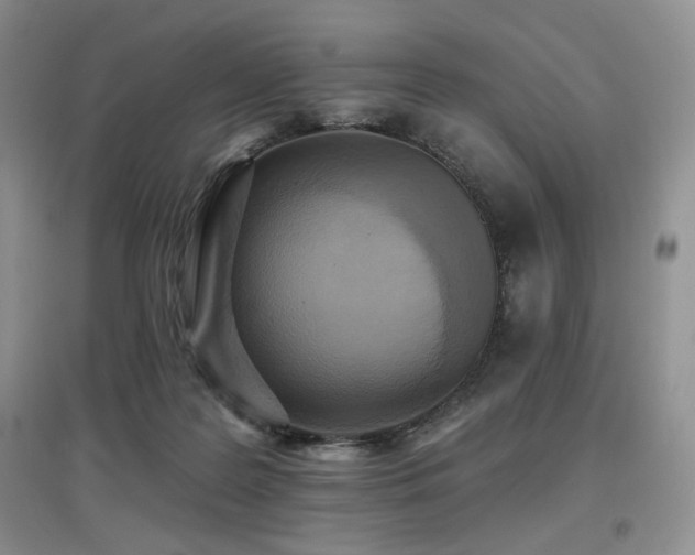 X0000097910219200803141425