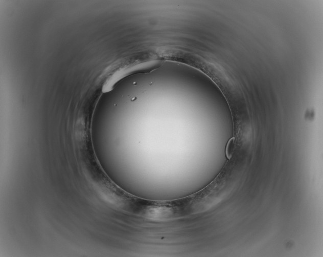 X0000097910220200803141425