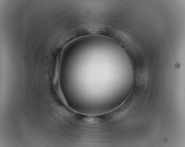 X0000097910221200803141425