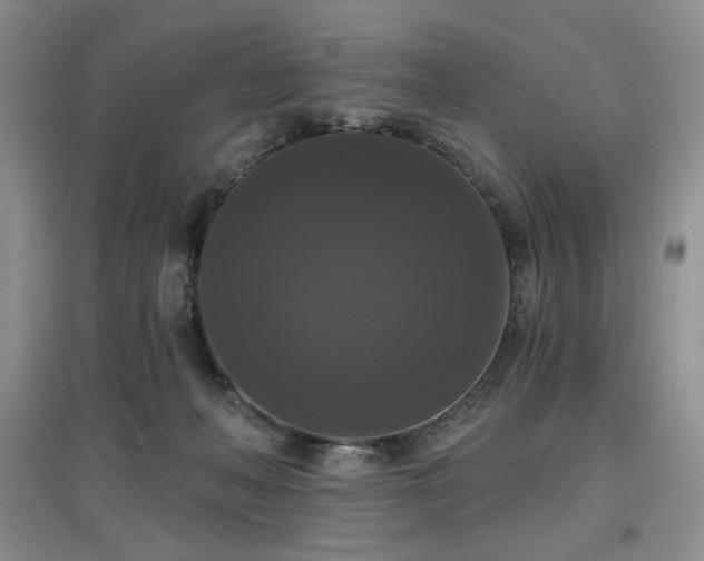 X0000097910222200803141425