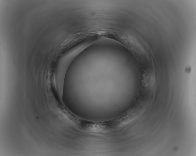 X0000097910223200803141425