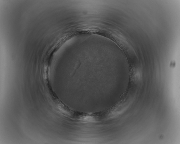 X0000097910224200803141425