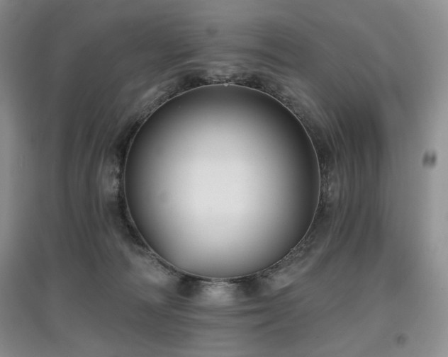 X0000097910226200803141425