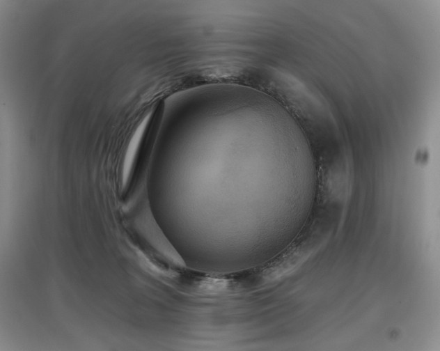 X0000097910227200803141425