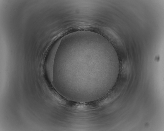 X0000097910228200803141425