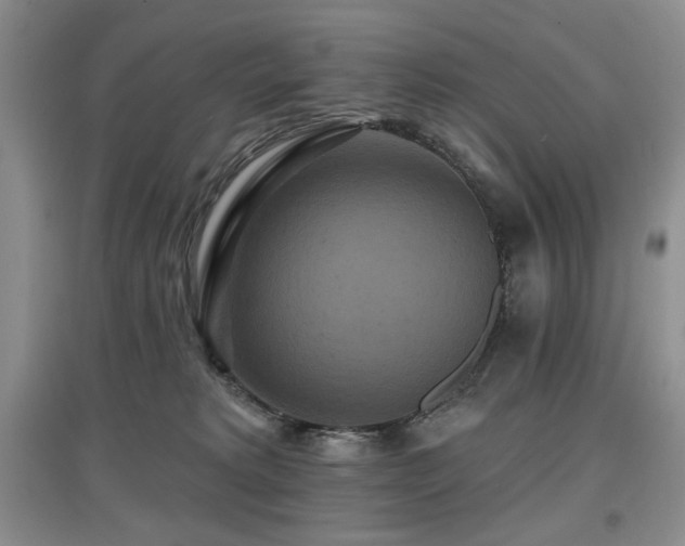 X0000097910229200803141425