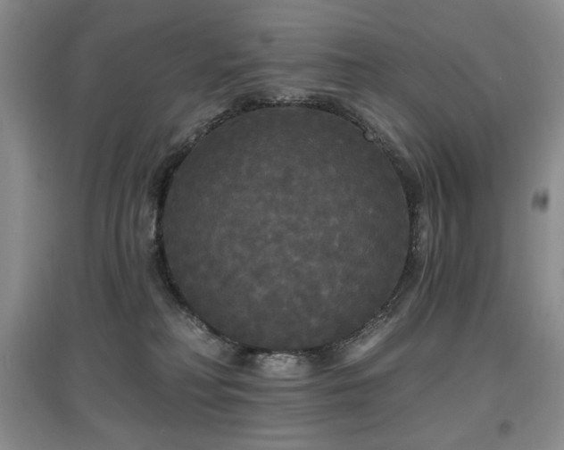 X0000097910230200803141425