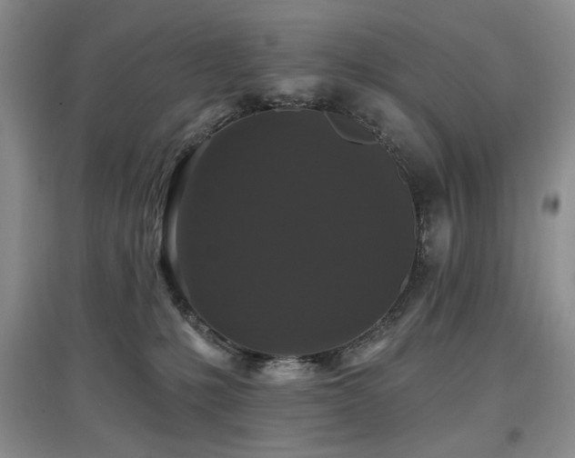 X0000097910231200803141425