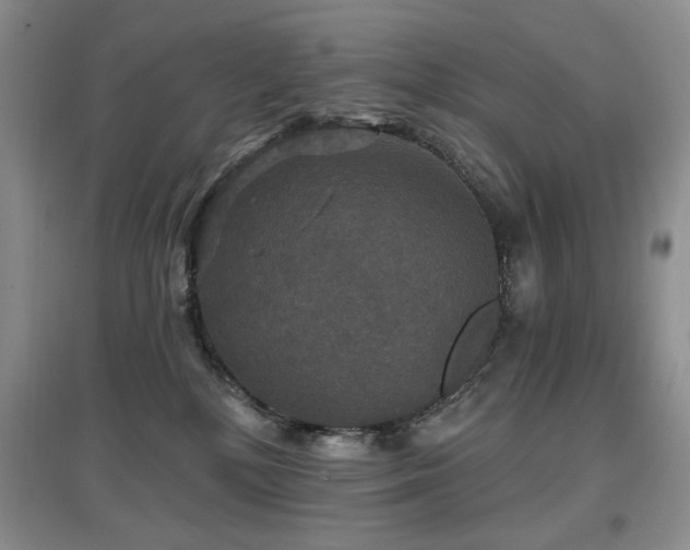 X0000097910232200803141425