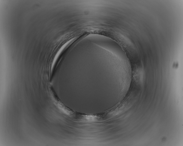 X0000097910233200803141425