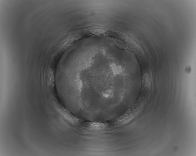 X0000097910234200803141425