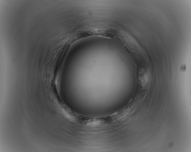 X0000097910235200803141425