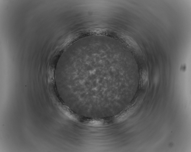 X0000097910236200803141425