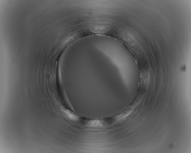 X0000097910237200803141425