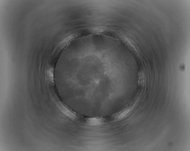 X0000097910238200803141425