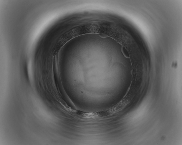 X0000097910239200803141425