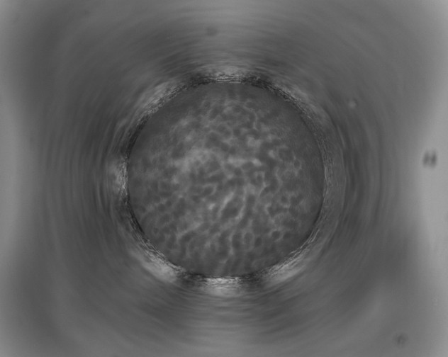 X0000097910240200803141425