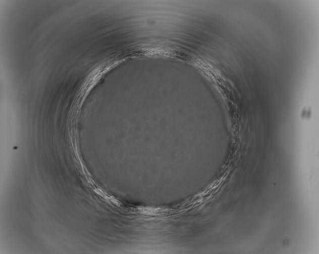 X0000097910241200803141425