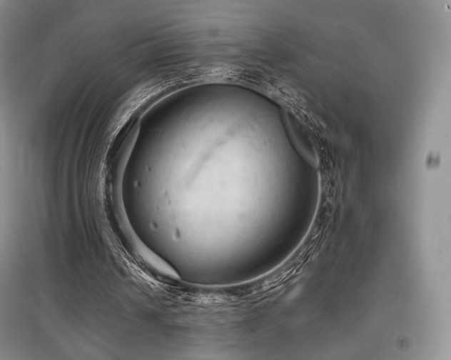 X0000097910242200803141425