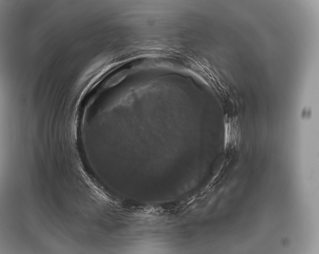 X0000097910243200803141425