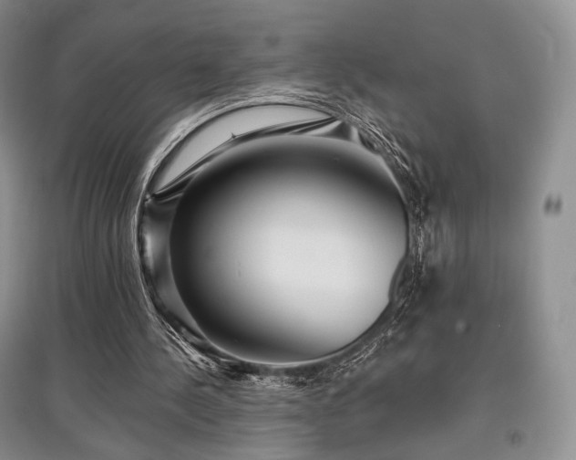 X0000097910244200803141425