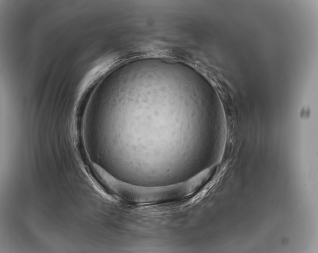 X0000097910245200803141425