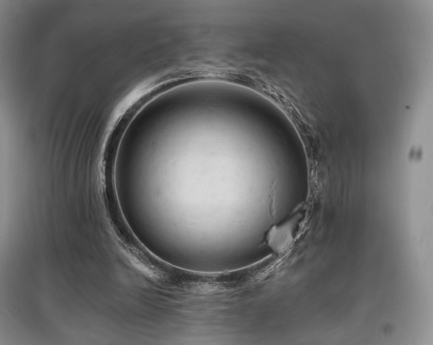 X0000097910246200803141425