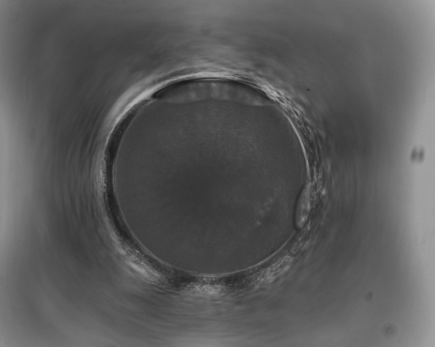 X0000097910247200803141425