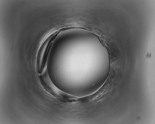 X0000097910248200803141425