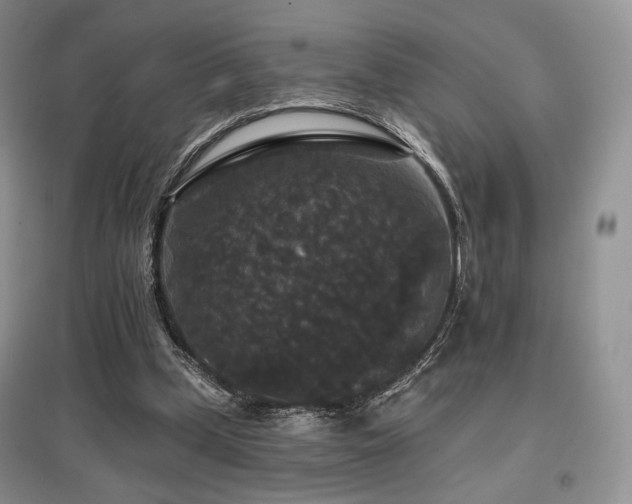 X0000097910249200803141425