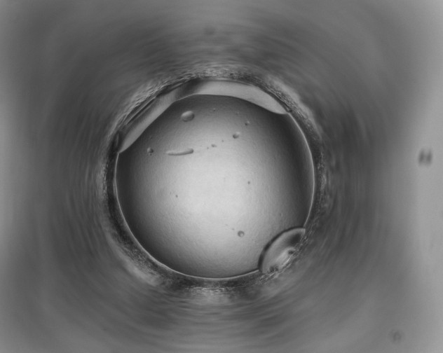 X0000097910250200803141425